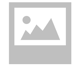 Grill Chicken Burger 